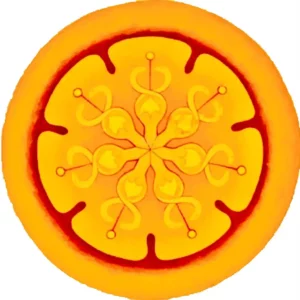 Anthroposophische Heilkunst